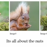 3rd PDI-Its All About The Nuts-Charlie Kidd