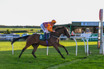 Race 7 5.25pm Amstel Gallop Handicap portfolio