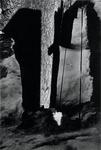 Tom Sandberg