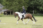 Class 3 Dressage 16/07/17 portfolio