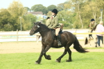 SBM_69366