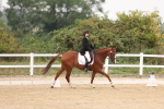 SBM_01421