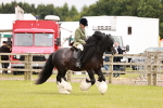 SBM_06223