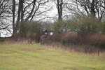 WJ6_5751