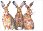 Hares Three Fine Art Print 790