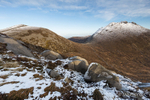 Meelmore & Bearnagh