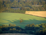 Leith Hill - 17