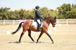 SBM_018033
