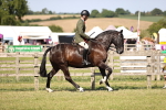 SBM_18749