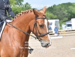 BPP_9943