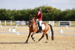 SBM_008196