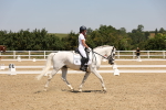 SBM_004403