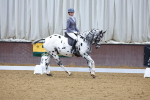 SBM_001441