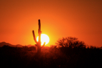 Father's Day Sunset, 2009