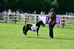 SBM_03580