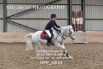 CLASS 8 90CM Open Show Jumping portfolio