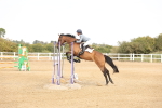 SBM_002436