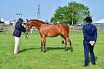 SBM_00967