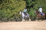 WJ6_7786
