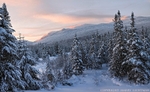 Winter's Blanket