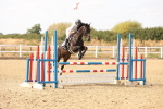 SBM_002460