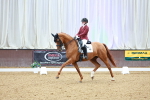 SBM_004425