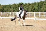 SBM_002654