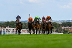 300826-Race 2-Jm Jungle-9519