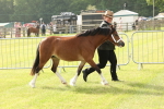 SBM_00471