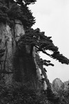 Above the Clouds (Mt Huangshan) #8