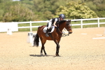 SBM_008654