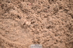 260830B-101347-03630