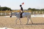 SBM_006920