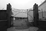Barry Island; Faded Glory 32