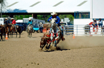3HRodeo8-11-25_PRCASteer_07757_