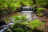 Little Woodland Waterfall 02