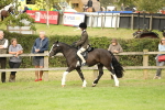 SBM_71579