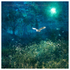 AS011 Midsummer Moonlight