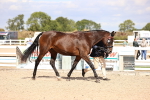 SBM_14260