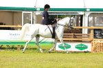 SBM_13127