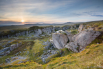 Foggintor Quarry