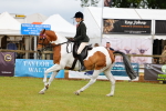 SBM_02532
