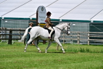 SBM_03720