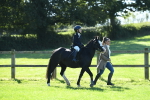 SBM_39531