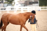 SBM_20106