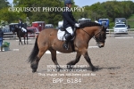 BPP_6184