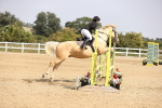 SBM_002192
