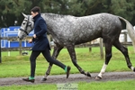 032-COOLEY.ROCCO-Ben.Way-TrotUp portfolio