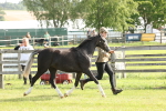 SBM_00686