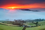z3174 Rolling Fog Stenbury Down